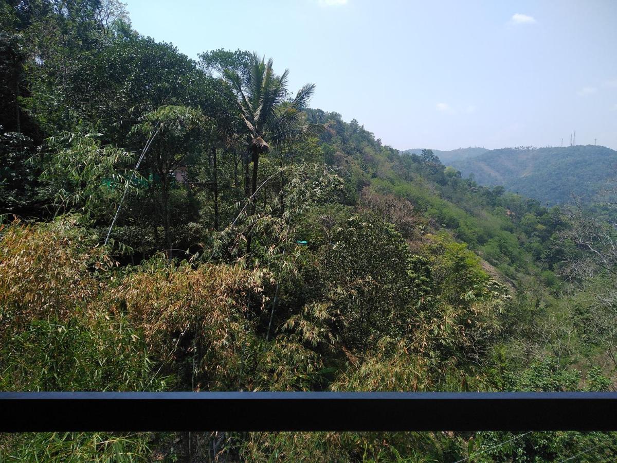 Spring And Valley View Thekkady Eksteriør bilde