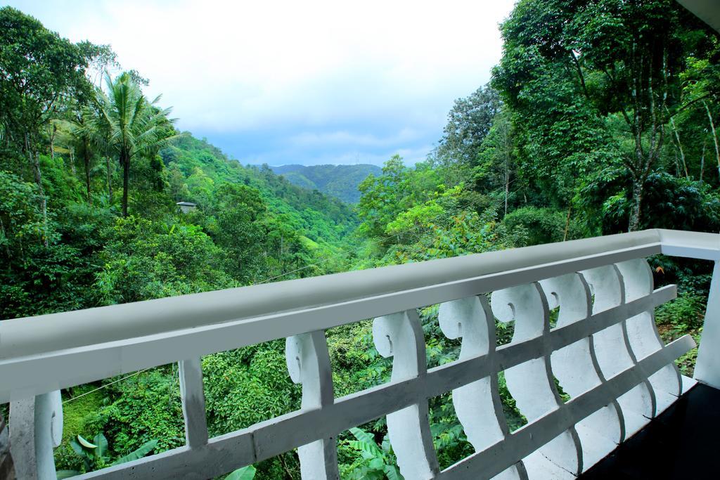 Spring And Valley View Thekkady Rom bilde
